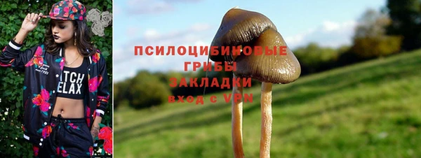 СК Арсеньев