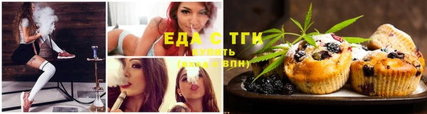 СК Арсеньев
