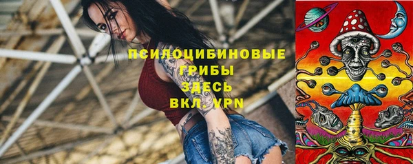 СК Арсеньев
