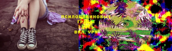 стафф Армянск