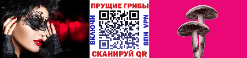 Псилоцибиновые грибы ЛСД Тогучин