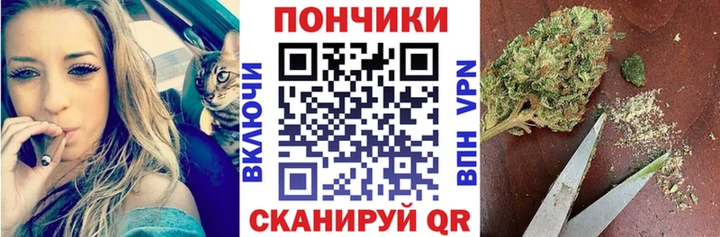 Бошки марихуана сатива Тогучин
